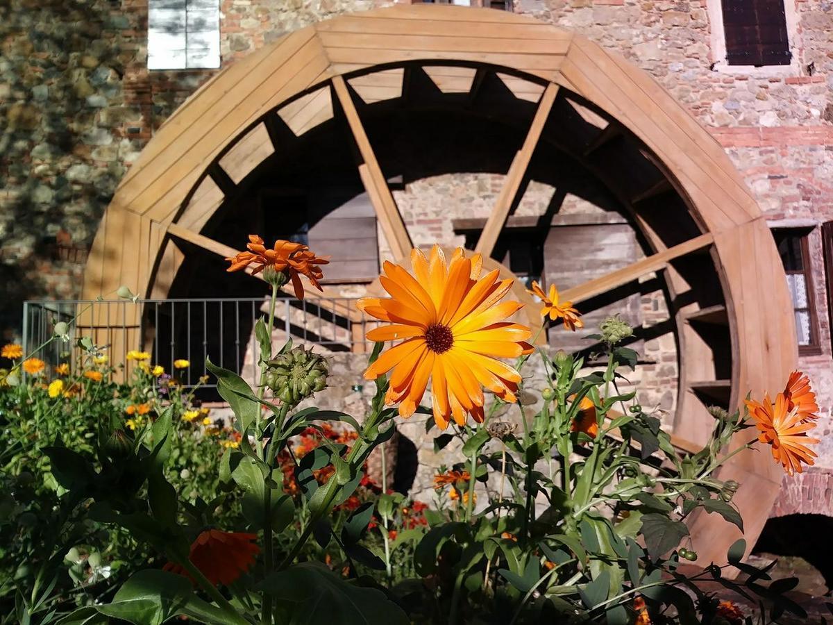 Agriturismo Il Mulino Delle Pile Chiusdino Exterior foto
